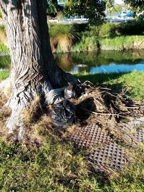 Rubbish/Recycling, a report photo