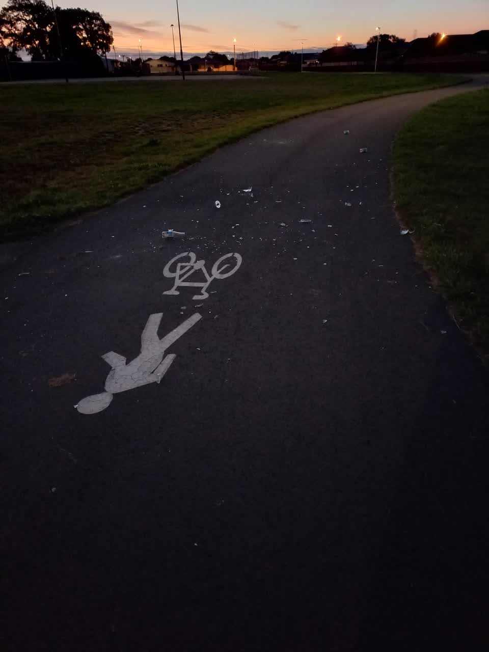 The photograph attached to this rubbish/recycling report