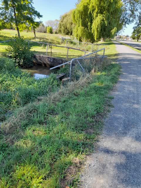 Roading/Streets, a report photo