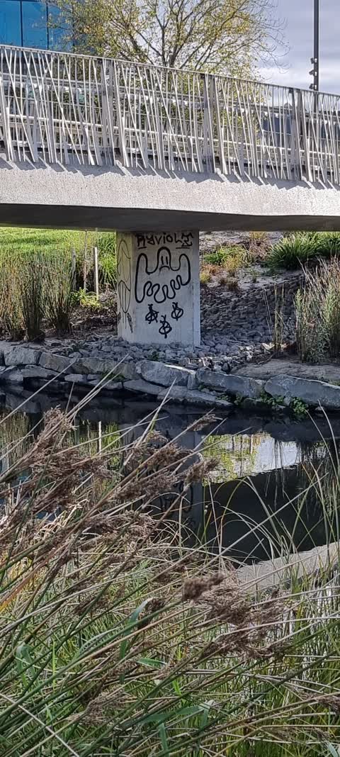 Graffiti, a report photo