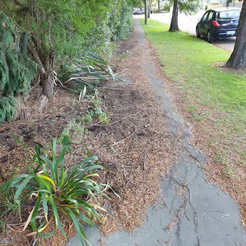 Roading/Streets, a report photo