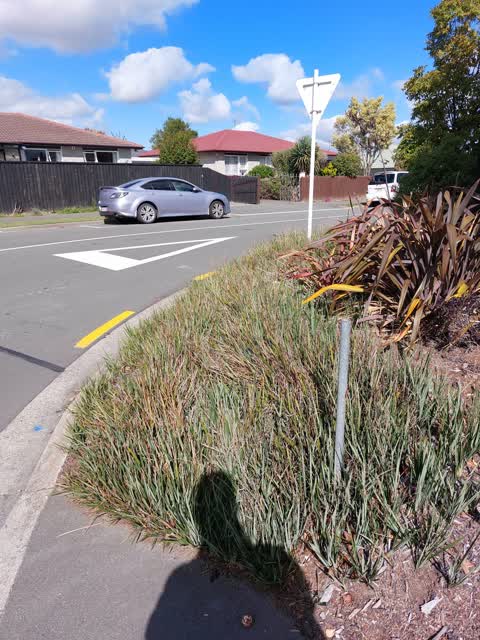 Roading/Streets, a report photo