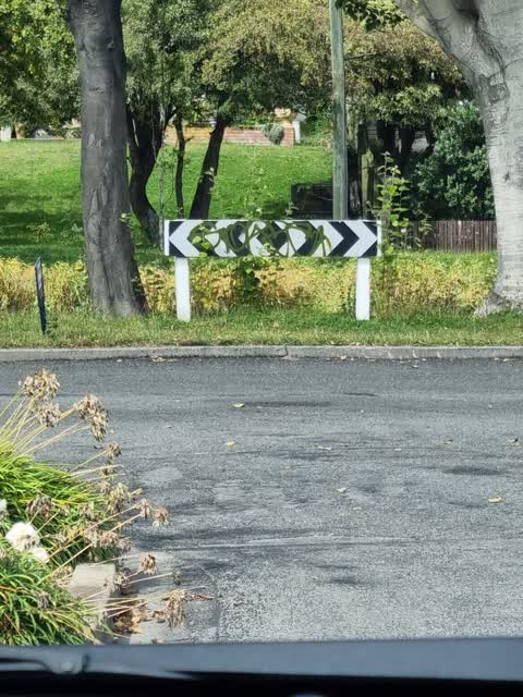Graffiti — a report photo