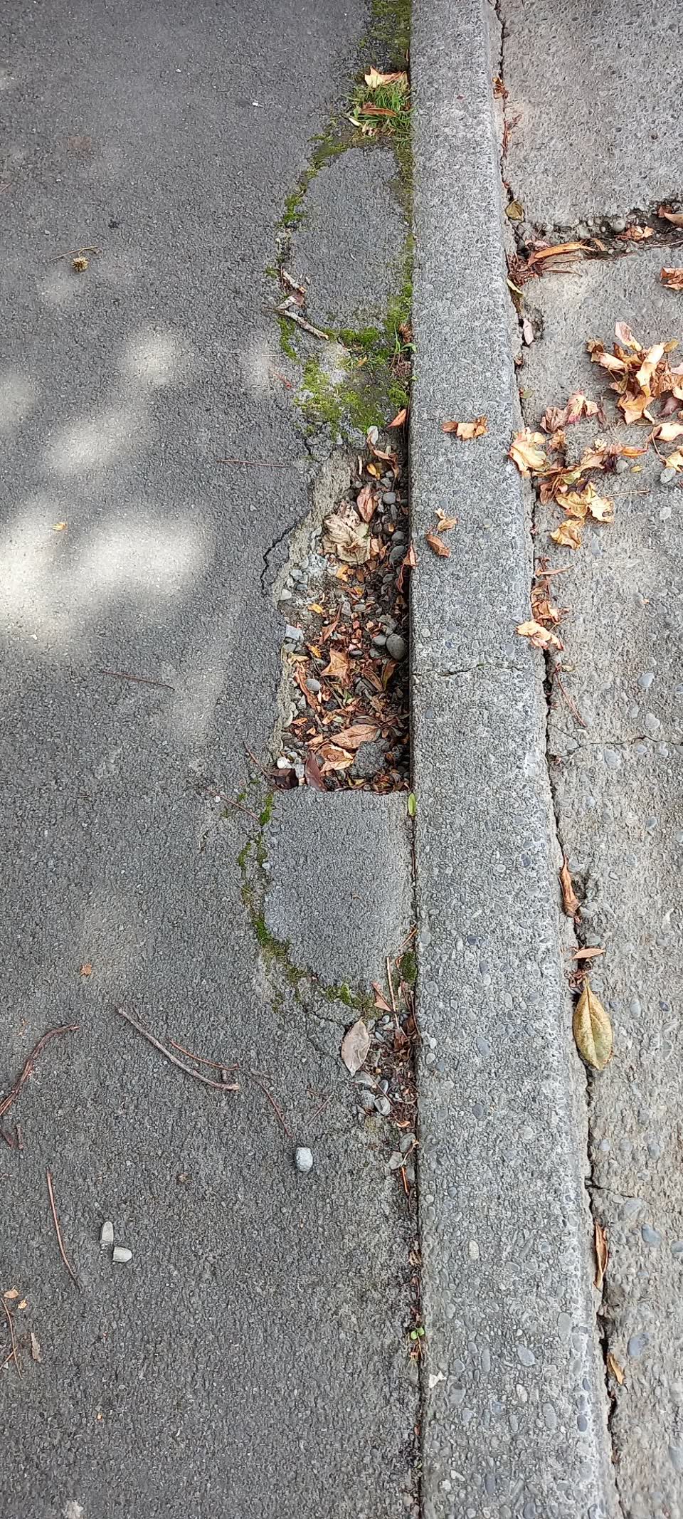 The photograph attached to this roading/streets report