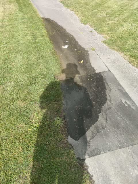 Water Leak, a report photo