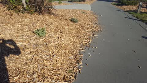 Parks, a report photo