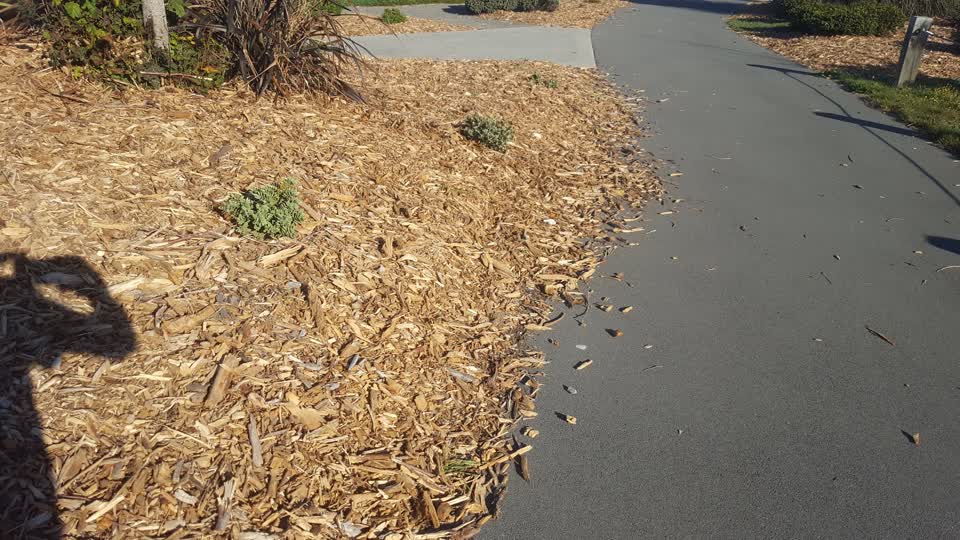 The photograph attached to this parks report