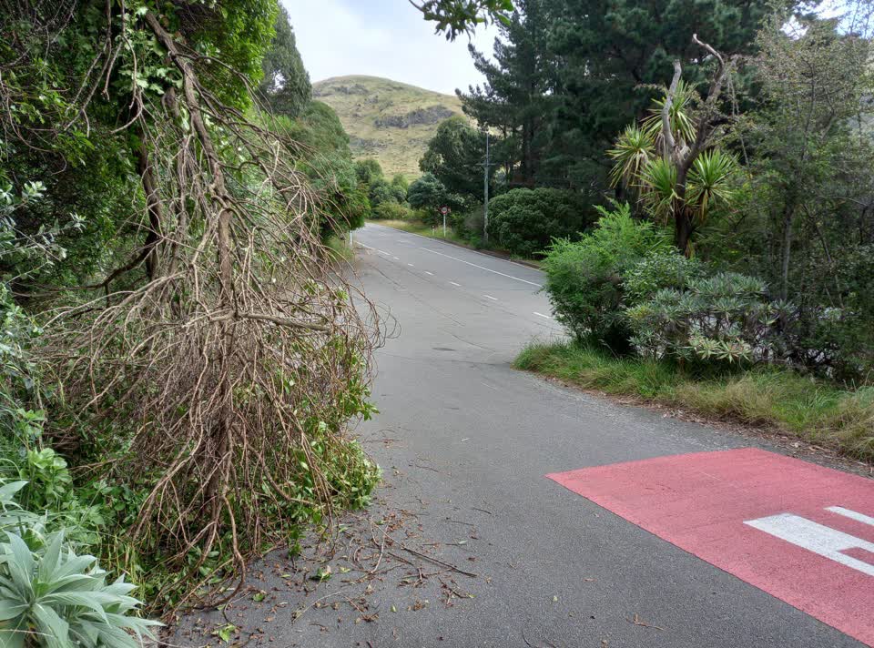 The photograph attached to this roading/streets report