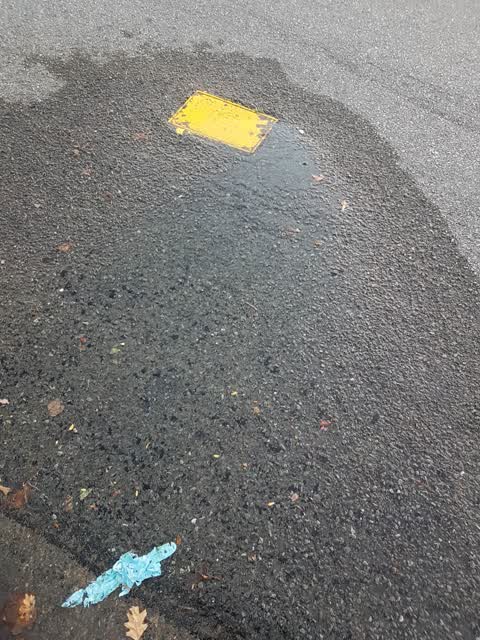 Water Leak, a report photo