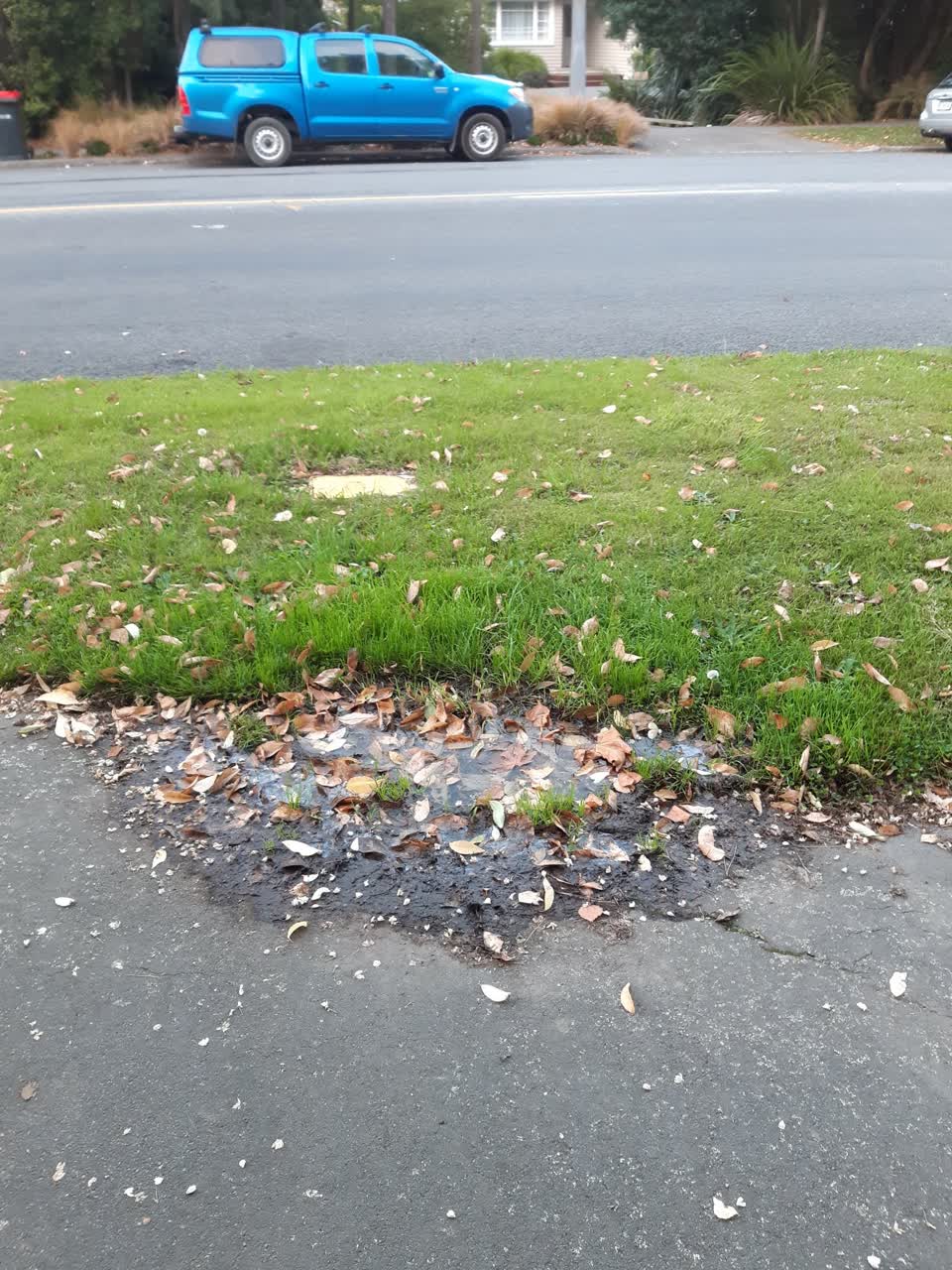 The photograph attached to this water leak report