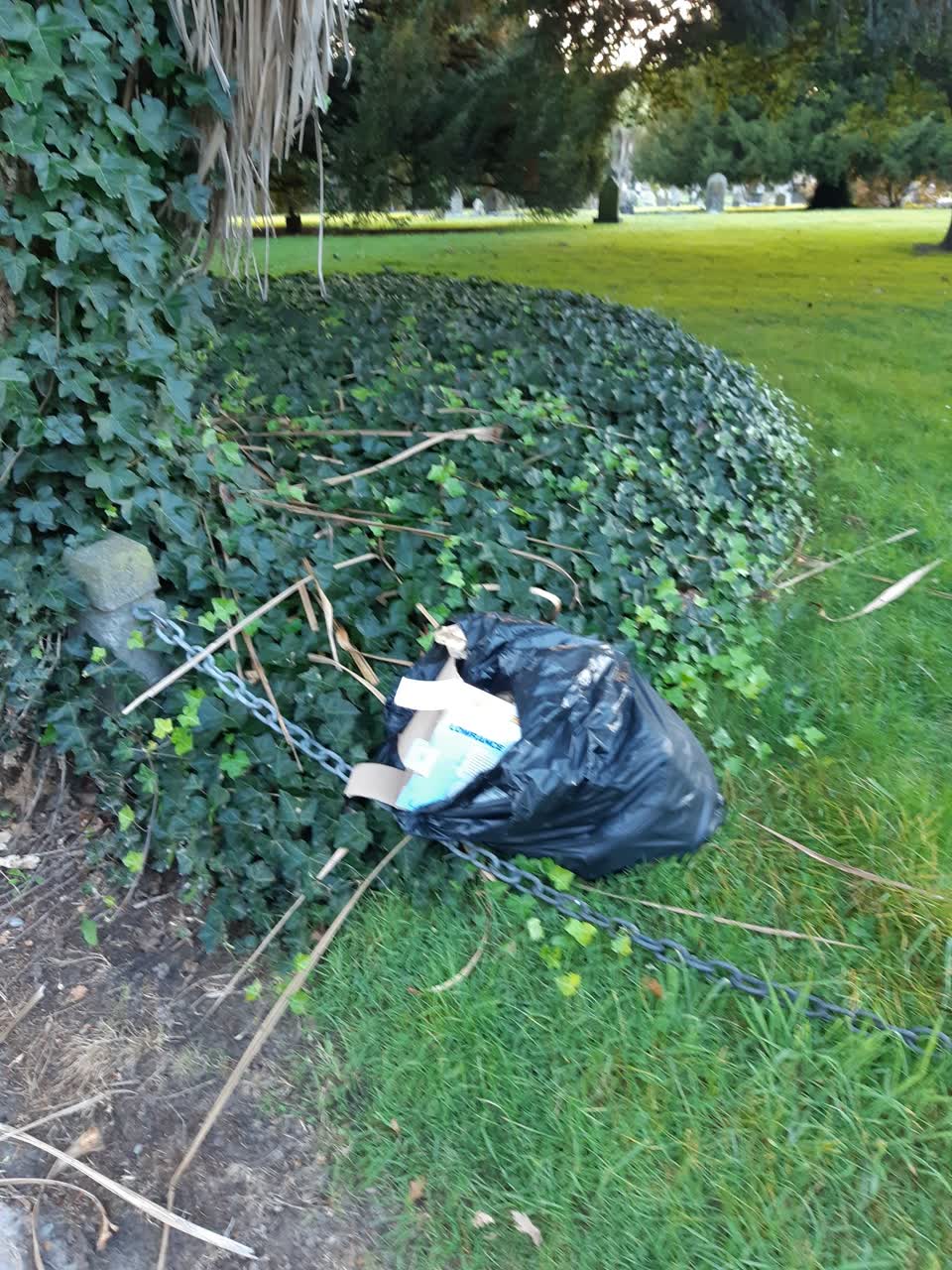 The photograph attached to this rubbish/recycling report