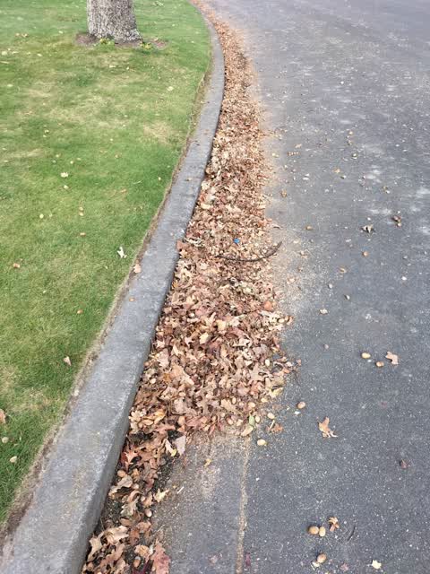 Roading/Streets, a report photo