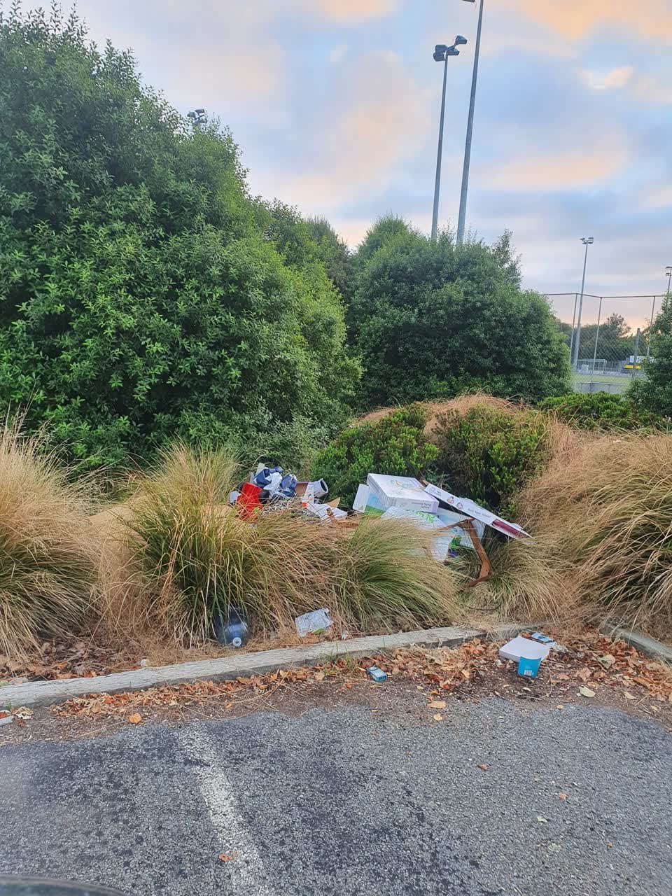 The photograph attached to this rubbish/recycling report