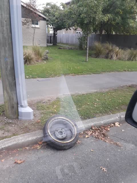 Rubbish/Recycling, a report photo