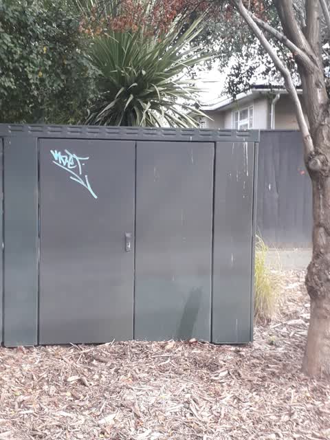 Graffiti, a report photo