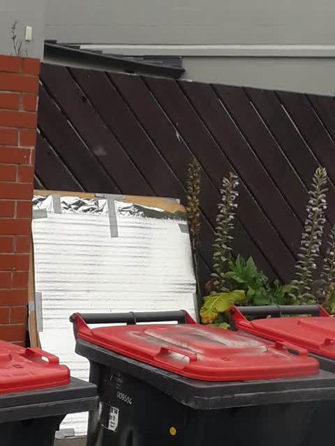 Rubbish/Recycling, a report photo