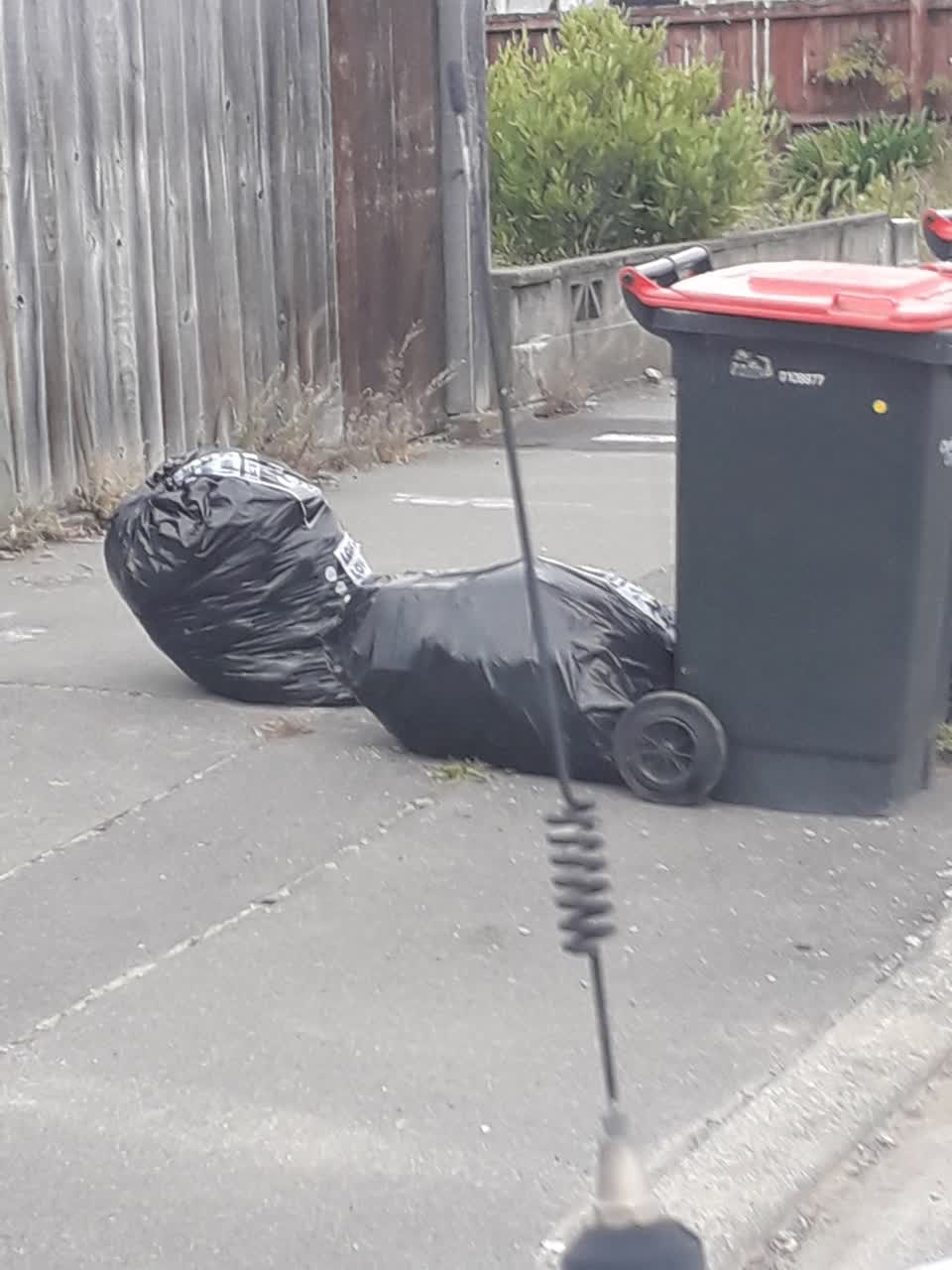 The photograph attached to this rubbish/recycling report