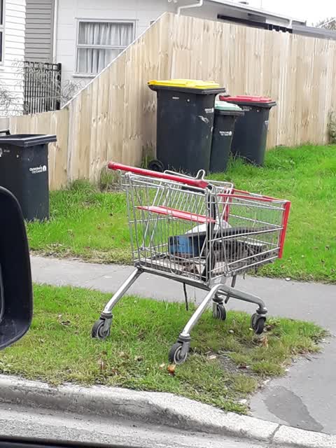 Rubbish/Recycling, a report photo
