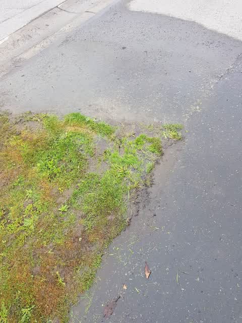 Water Leak, a report photo