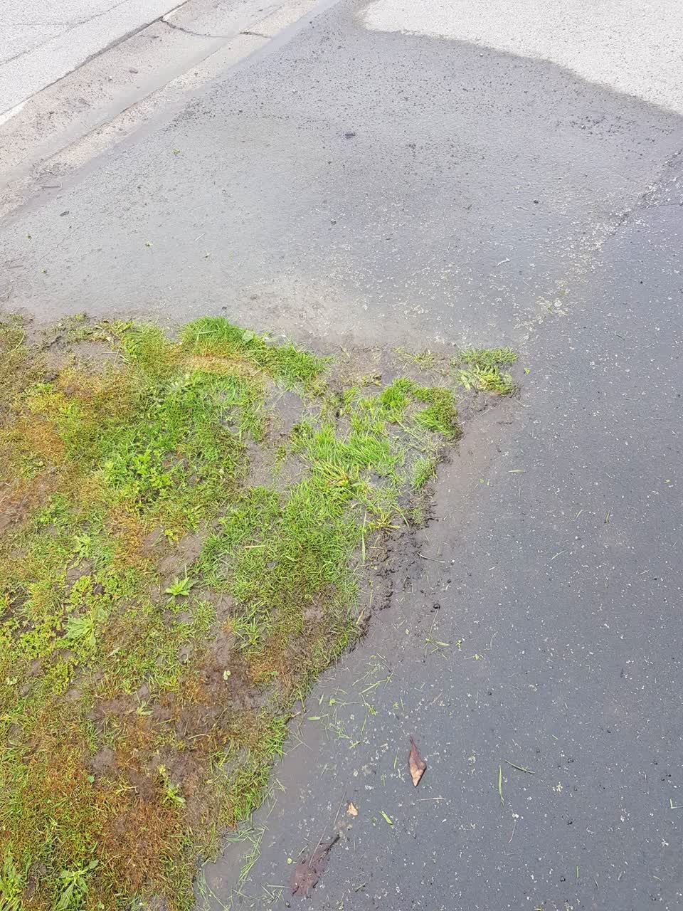 The photograph attached to this water leak report