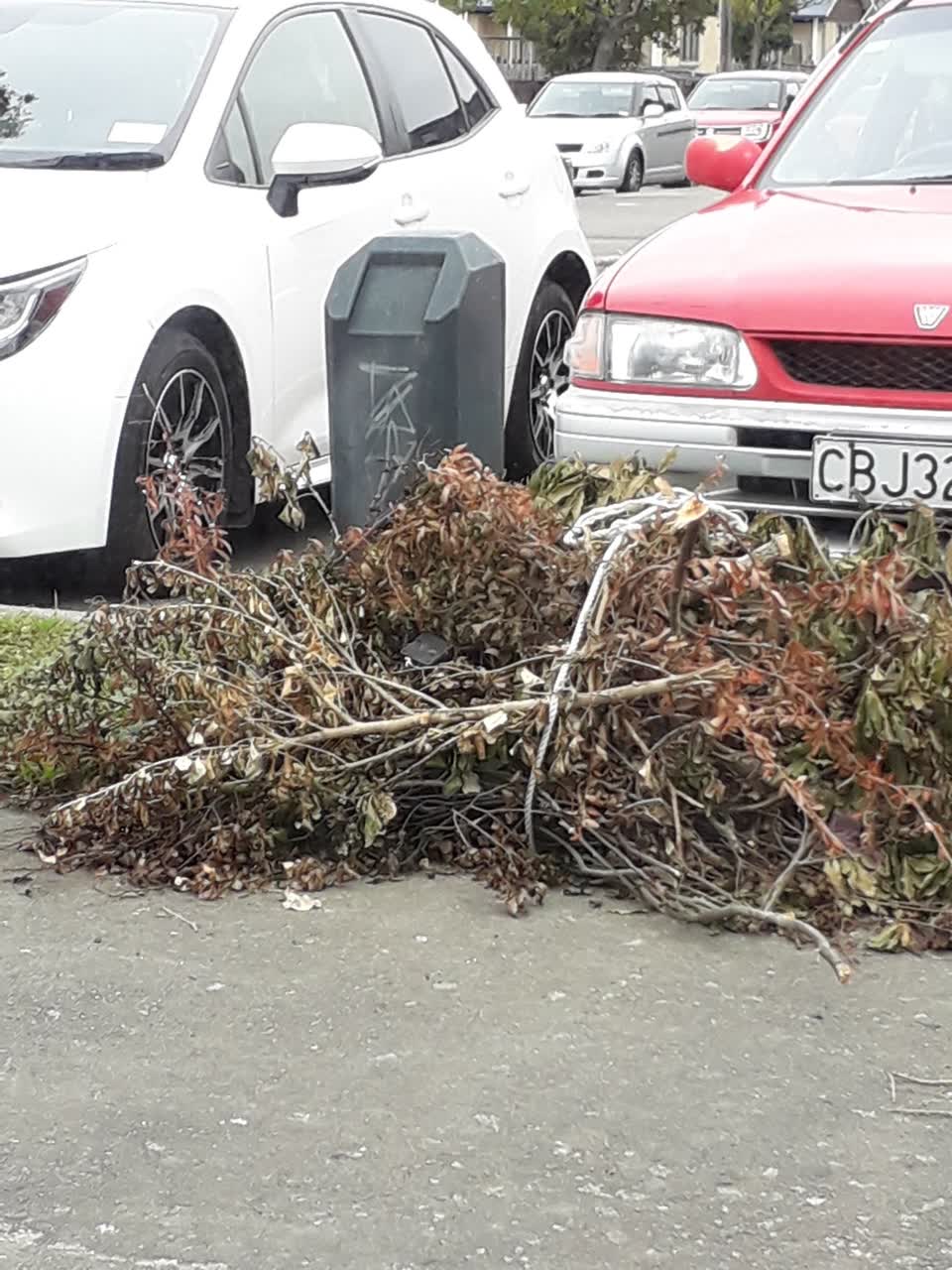 The photograph attached to this rubbish/recycling report