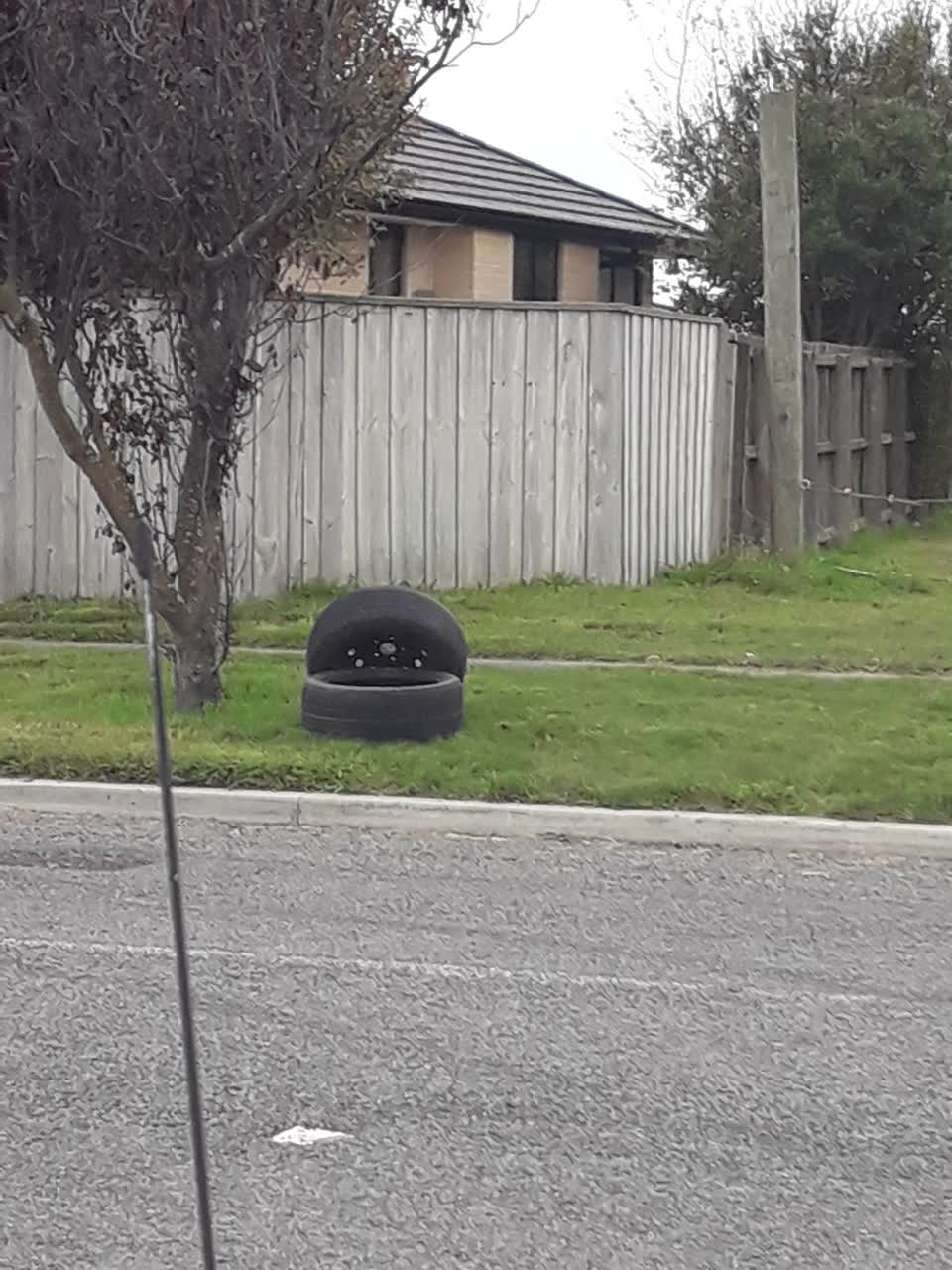 The photograph attached to this rubbish/recycling report