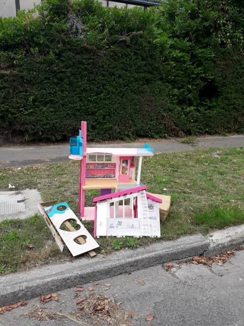 Rubbish/Recycling, a report photo