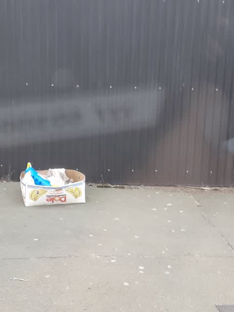 Rubbish/Recycling, a report photo