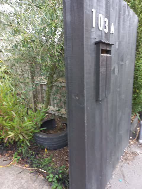 Rubbish/Recycling — a report photo