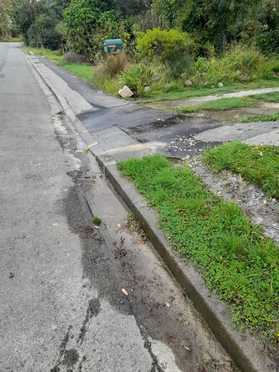 The photograph attached to this water leak report