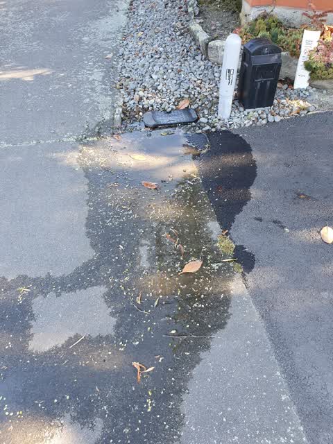 Water Leak, a report photo