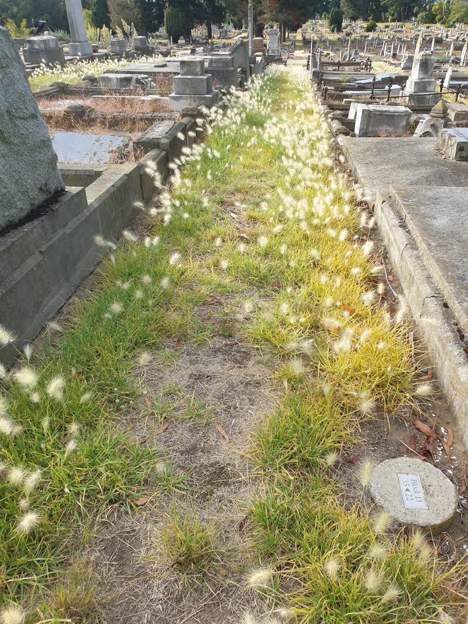 The photograph attached to this parks report
