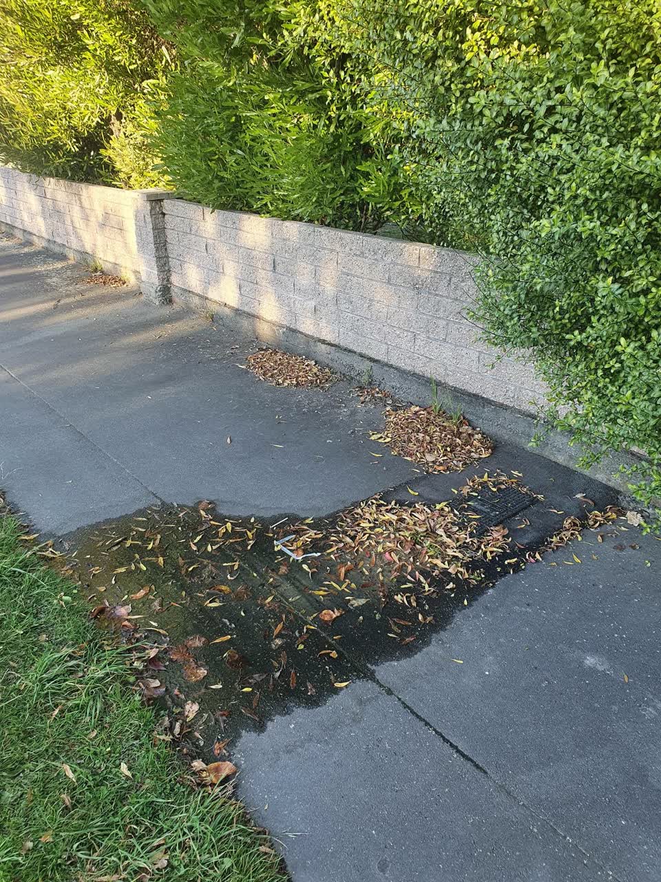 The photograph attached to this water supply report
