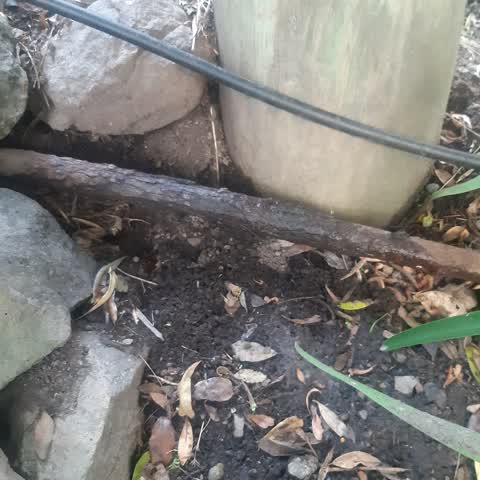 Water Leak — a report photo