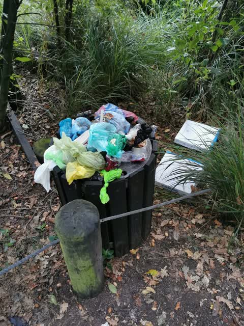 Rubbish/Recycling, a report photo