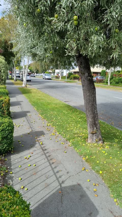 Roading/Streets — a report photo