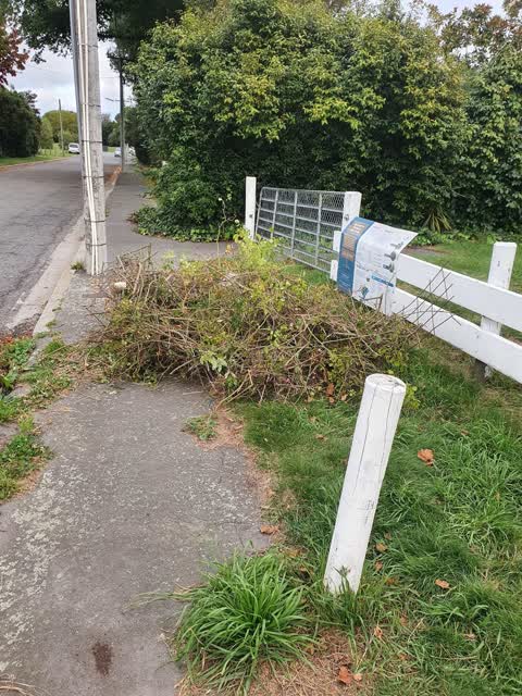 Rubbish/Recycling, a report photo