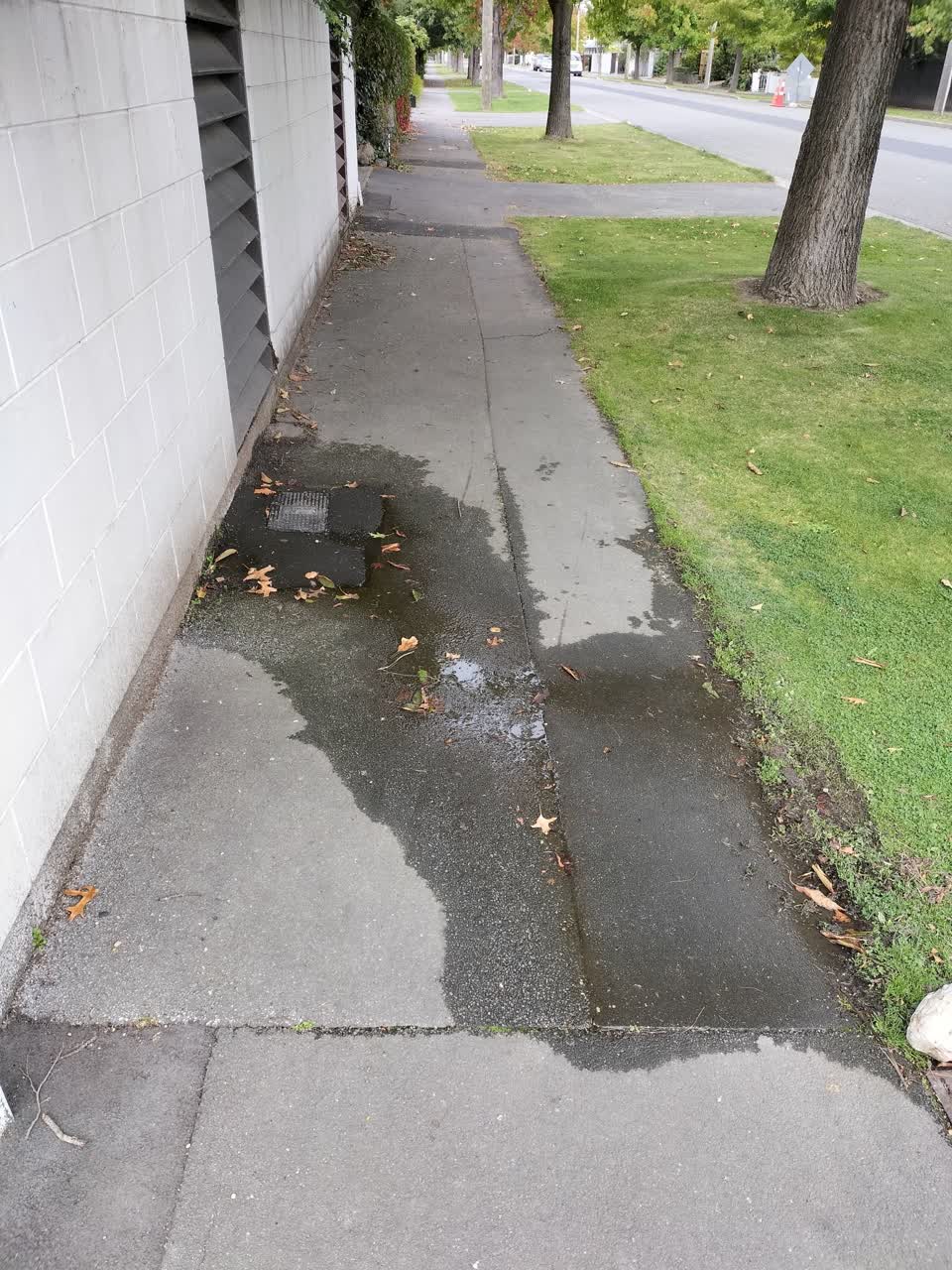 The photograph attached to this water leak report