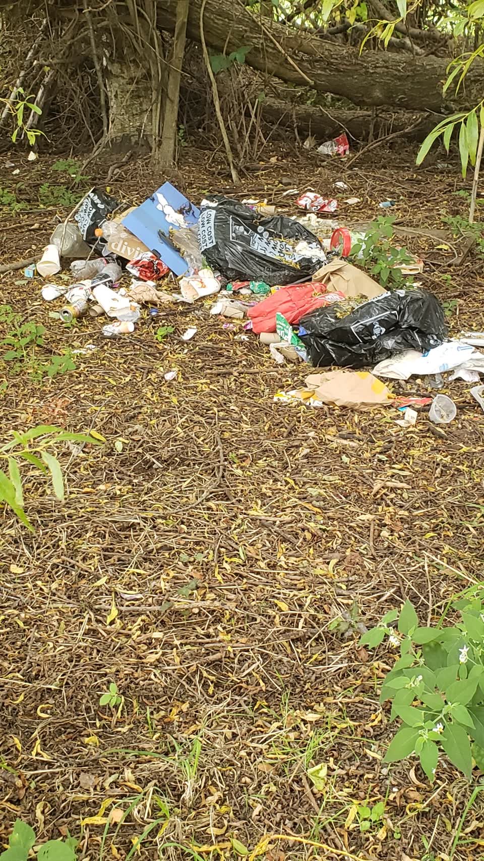 The photograph attached to this rubbish/recycling report