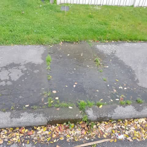 Water Leak, a report photo