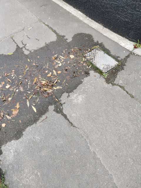 Water Leak, a report photo