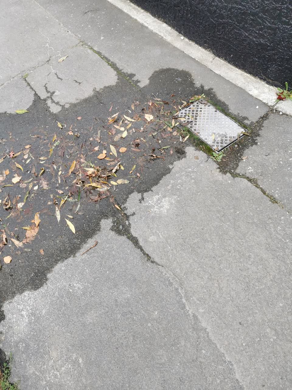 The photograph attached to this water leak report