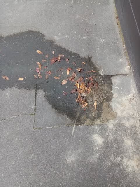 Water Leak, a report photo