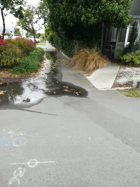 Water Leak — a report photo