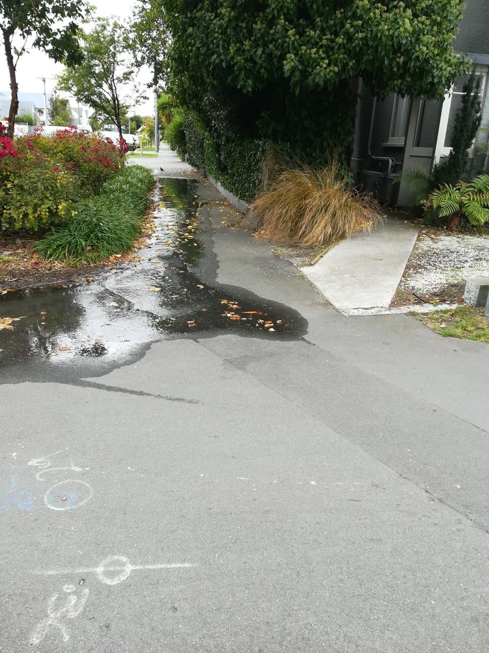 The photograph attached to this water leak report