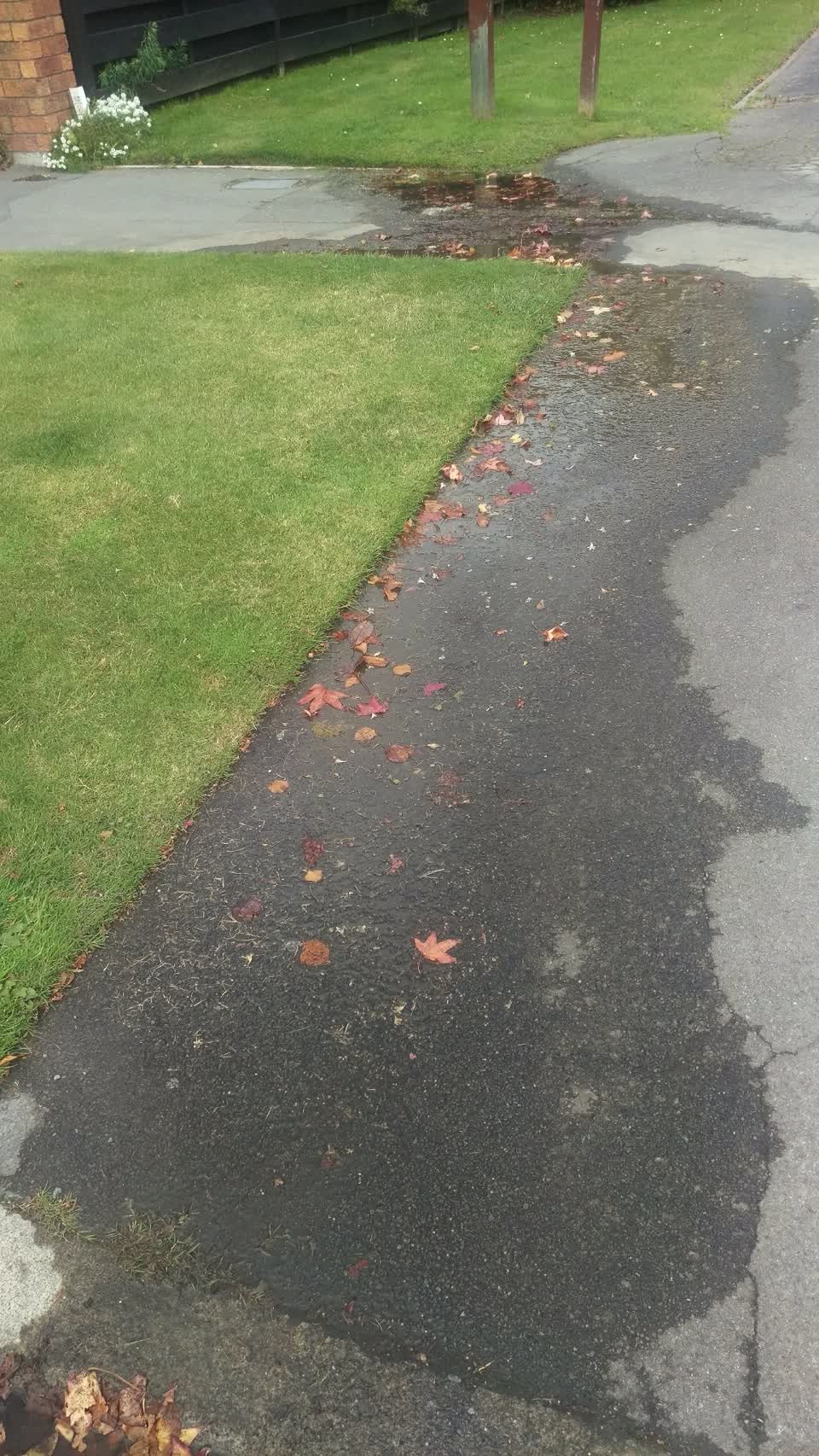 The photograph attached to this water leak report