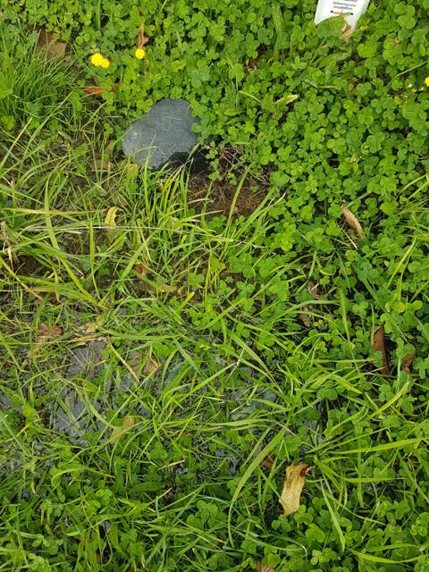 Water Leak, a report photo
