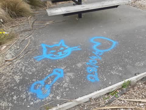 Graffiti, a report photo