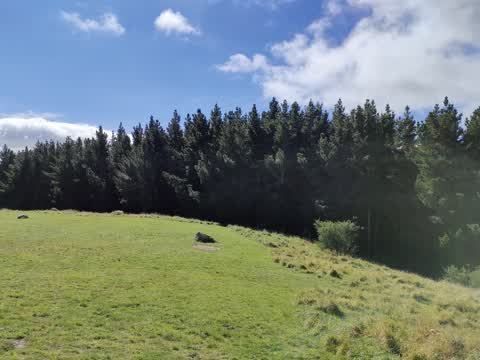 Parks, a report photo