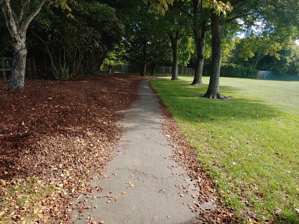 The photograph attached to this parks report